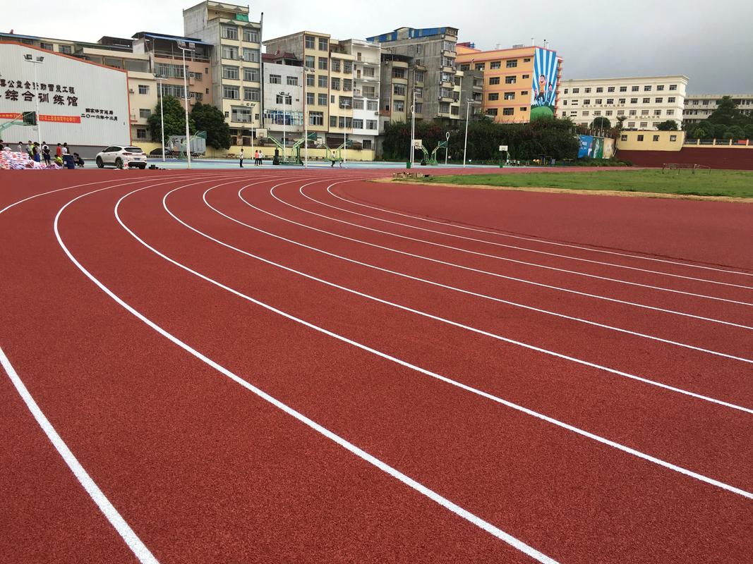 阿拉善盟硅PU材料塑胶跑道材料 - 排名